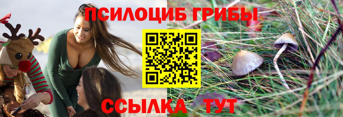 Галлюциногенные грибы Psilocybe Трёхгорный